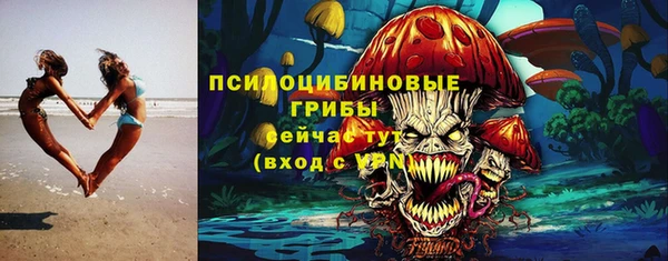 гидропоника Аркадак