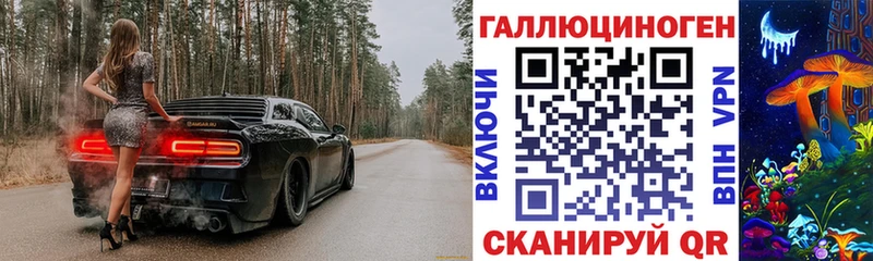 Купить где  Кингисепп  Псилоцибиновые грибы мухоморы 